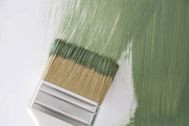 Professional Mold Removal in Kingsport, TN