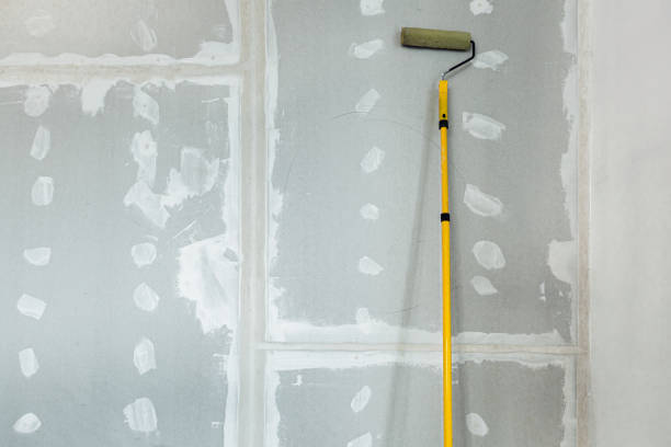  Kingsport, TN Mold Removal Pros