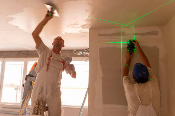Best Mold Damage Restoration  in Kingsport, TN