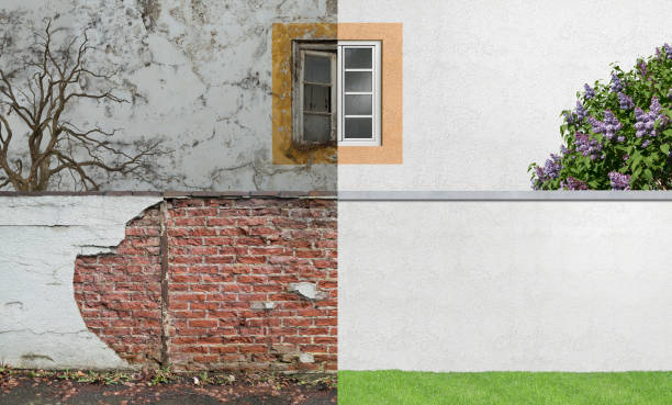 Best Mold Remediation for Healthcare Facilities  in Kingsport, TN