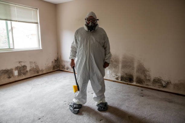 Best Forensic Mold Investigation  in Kingsport, TN