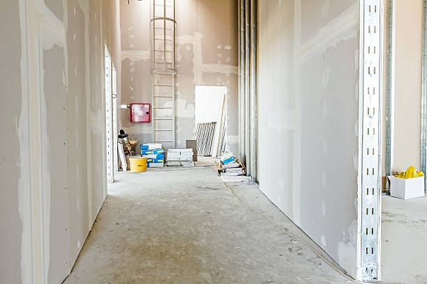 Best Environmental Consulting for Mold Prevention  in Kingsport, TN